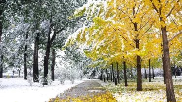 Тұман және үсік: Қазақстанның бірқатар өңірінде ауа райы бұзылады