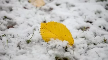 Қар жауып, көктайғақ болады: еліміздің бірқатар өңірінде ауа райы бұзылады