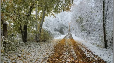 Қар және боран: Қазақстанның бірқатар облысында ауа райы бұзылады