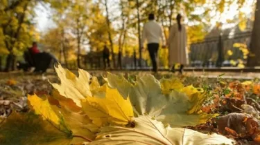 Күн жылынады: 16 қарашаға арналған ауа райы болжамы