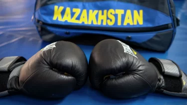 Бокс: 2025 жылдың үздіктері марапатталды