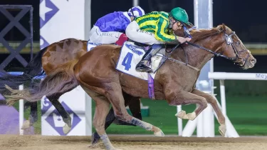 Жаңа Қабірхан бола ма? Арлан Дубайда қазақстандыққа миллион әкелді