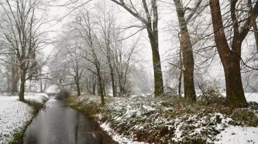 Қар, боран: 12 қаңтарға арналған ауа райы болжамы
