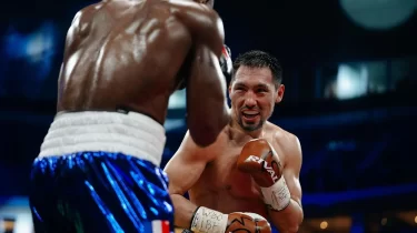 IBF Жәнібек Әлімханұлына қатысты жаңа дерек жариялады