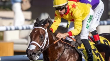 "Жаңа Қабірхан" атанған Арлан Дубайда тағы да топ жарды