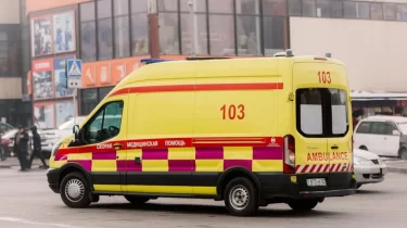 Жамбыл облысында 22 балуан ауруханаға түсті