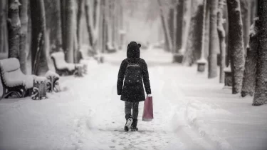 Қар жауып, күн суытады: 29 қаңтарға ауа райы болжамы