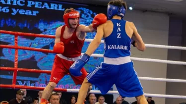 Қазақстандық боксшылар Еуропадағы турнирде жеті алтын медаль жеңіп алды