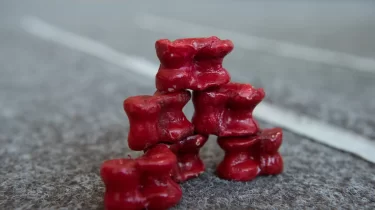 Ерекше рекорд: 18 мыңнан астам бала бір уақытта асық ойнады (ВИДЕО)