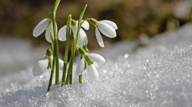 Күн жылына бастайды: 18 наурызға ауа райы болжамы