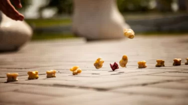 Көкшетауда 1,5 мың қыз бір уақытта асық ойнады