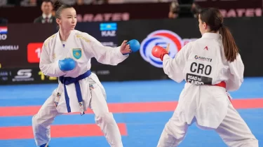 Әлемдік рейтингтің көшбасшысы дүниеге екінші сәби әкелді