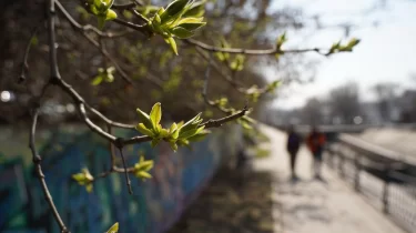 Найзағай мен жаңбыр күтіледі: 28 наурызға ауа райы болжамы