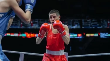 Қазақстан боксшылары IBA-дан сыйақыларын ала алмай жүр