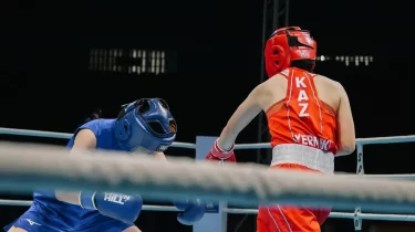 Қазақ боксының көшін бастаған өңірлер аталды