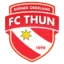 Тун