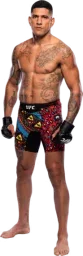 Alex Pereira