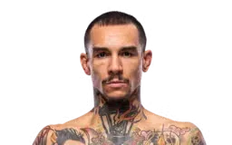 Andre Fili