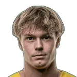 М. Нильсен