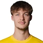 Виллас Шмидт Нильсен