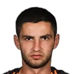 Марьян Швед